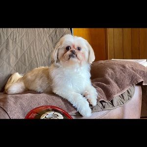 Meet your Posher, Wendy